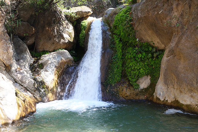 Guide to Dehradun: Shikhar Falls