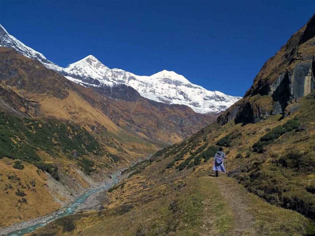 Pindari Glacier Trek view