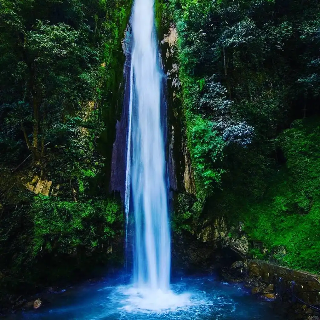 The Ultimate Dehradun Bucket List –Tiger Falls