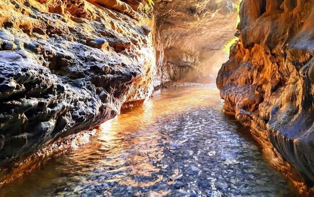 The Ultimate Dehradun Bucket List – Robber’s Cave