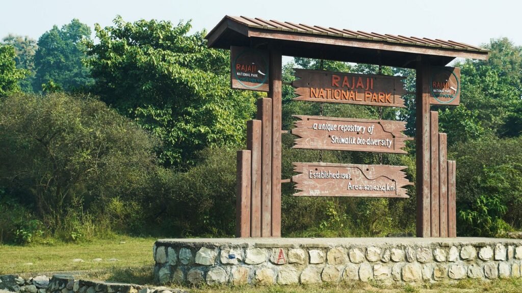 The Ultimate Dehradun Bucket List –Rajaji National Park